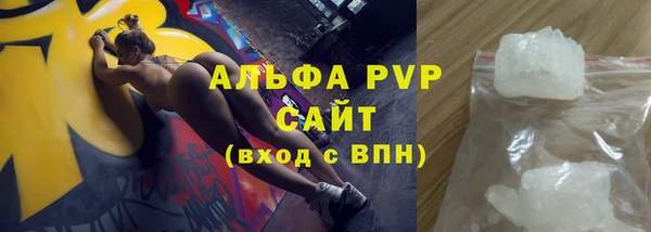 индика Пересвет