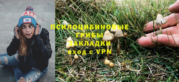 бутират Вяземский