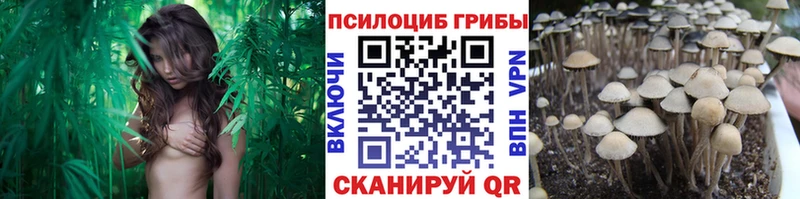 Галлюциногенные грибы Magic Shrooms  Купить где  Ленинск 